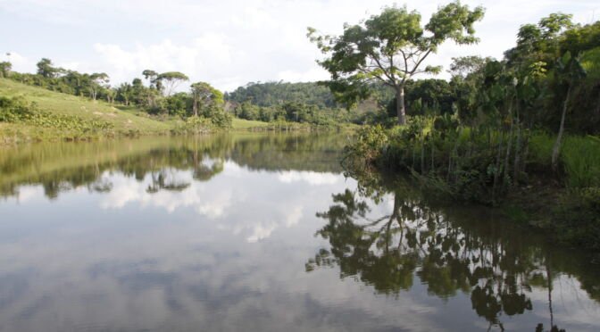 Documentos comprovam compra ilegal de 21 lotes do PA Ressaca pela Belo Sun